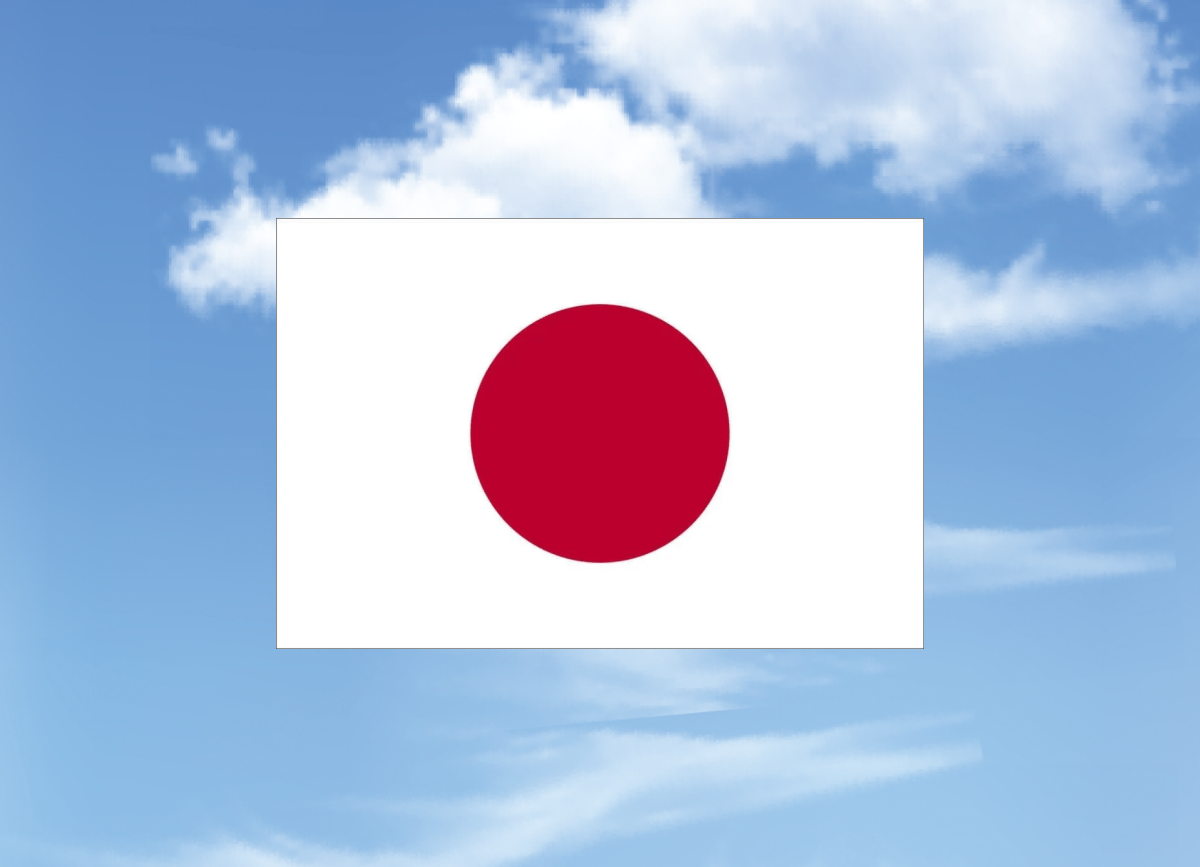 日本个人旅游签证3个月单次